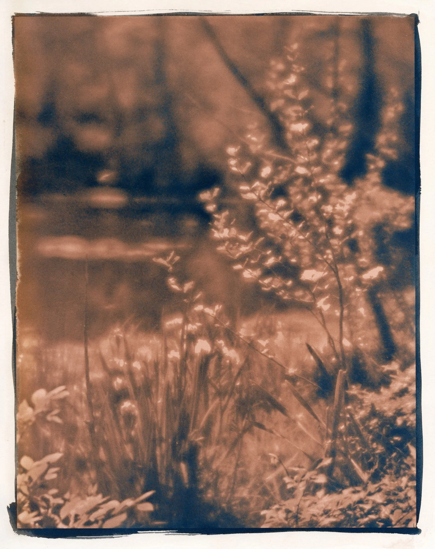Lost Lake