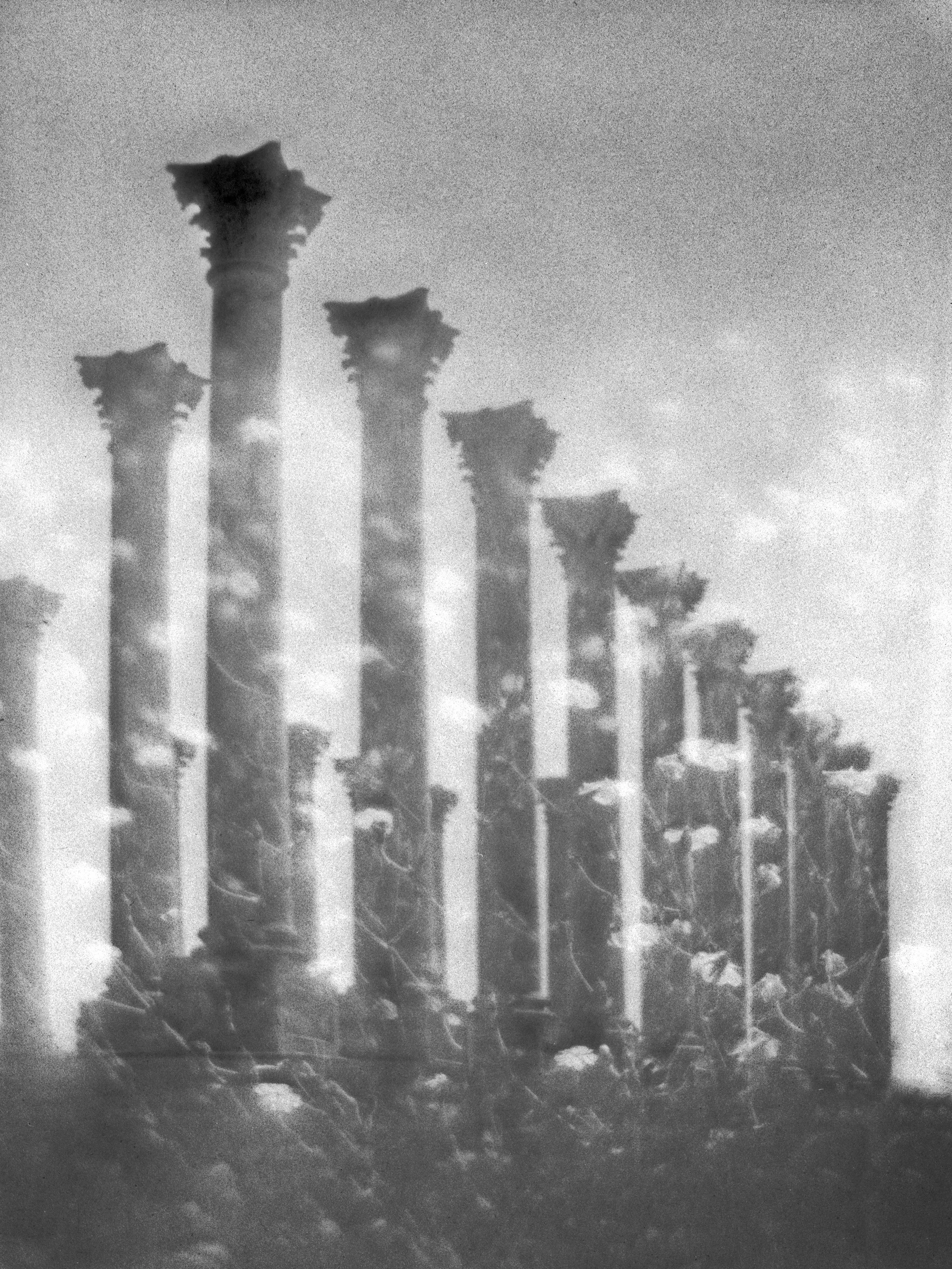 Capital Columns