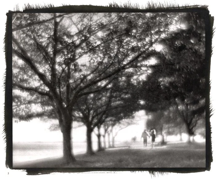 Along the Seawall