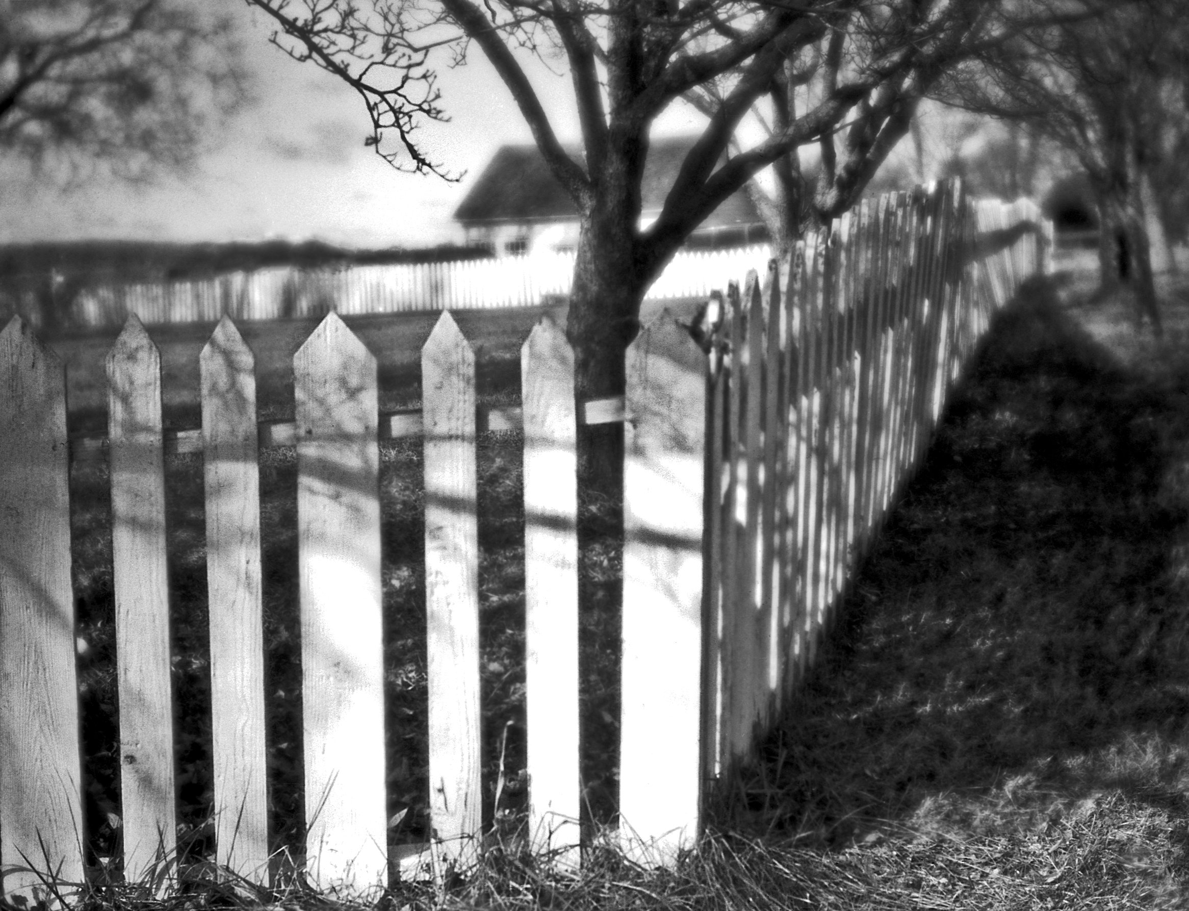 Fence Edge