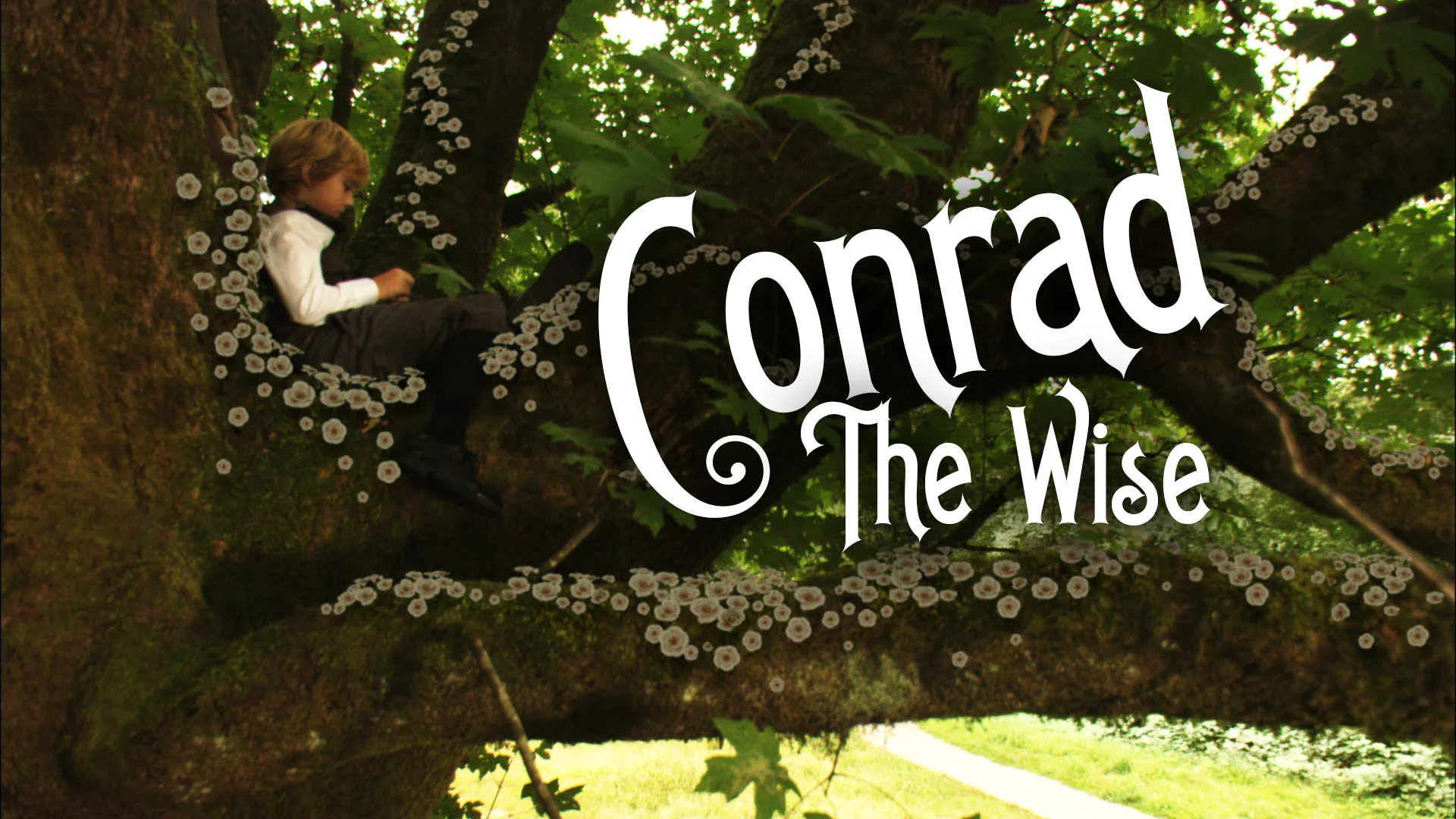 Conrad the Wise
