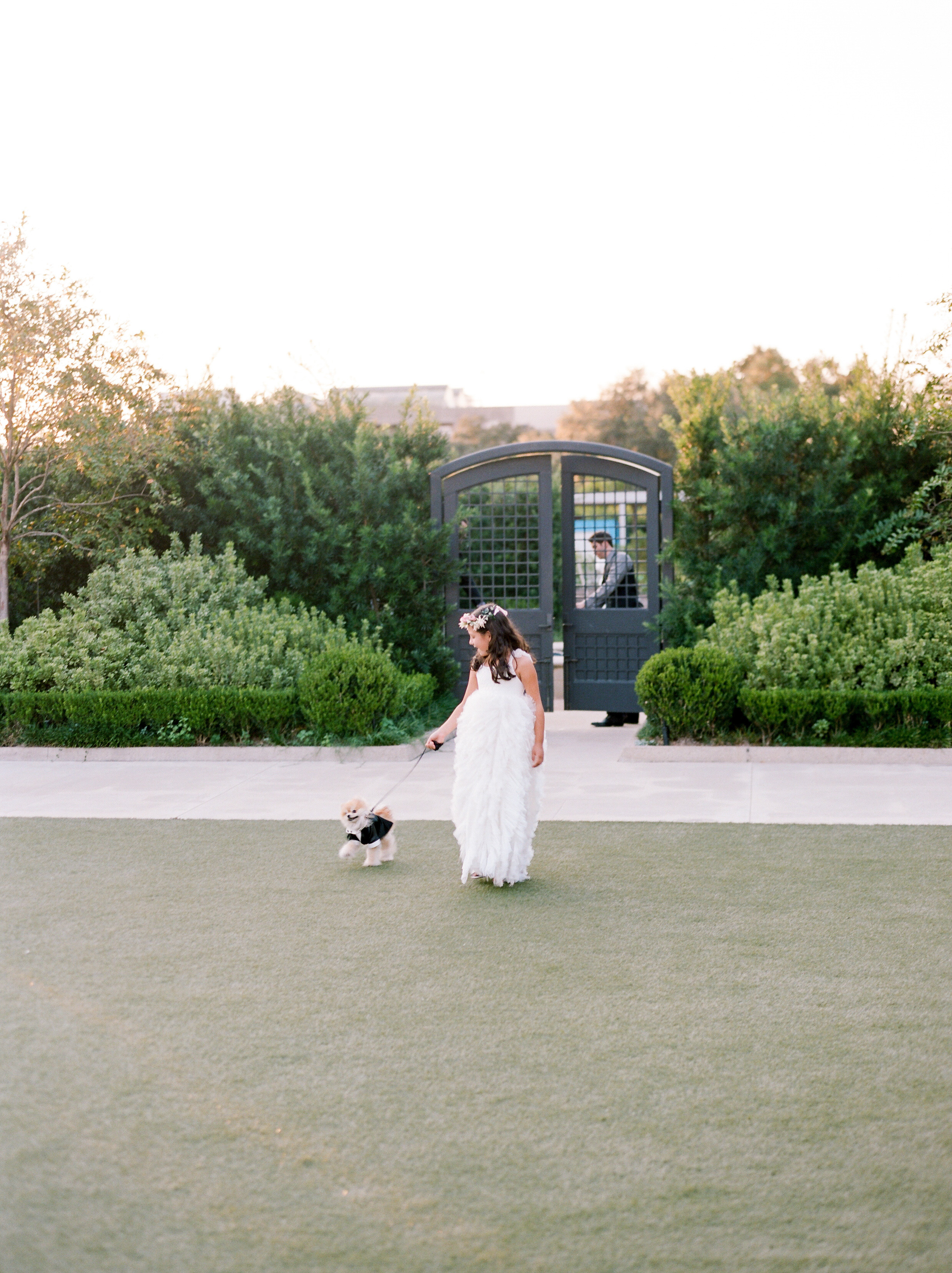Martha-Stewart-Wedding-Dana-Fernandez-Photography-Josh-Texas-Film-Houston-Wedding-Fine-Art-Photographer-McGovern-Centennial-Gardens-Top-Best-29.jpg
