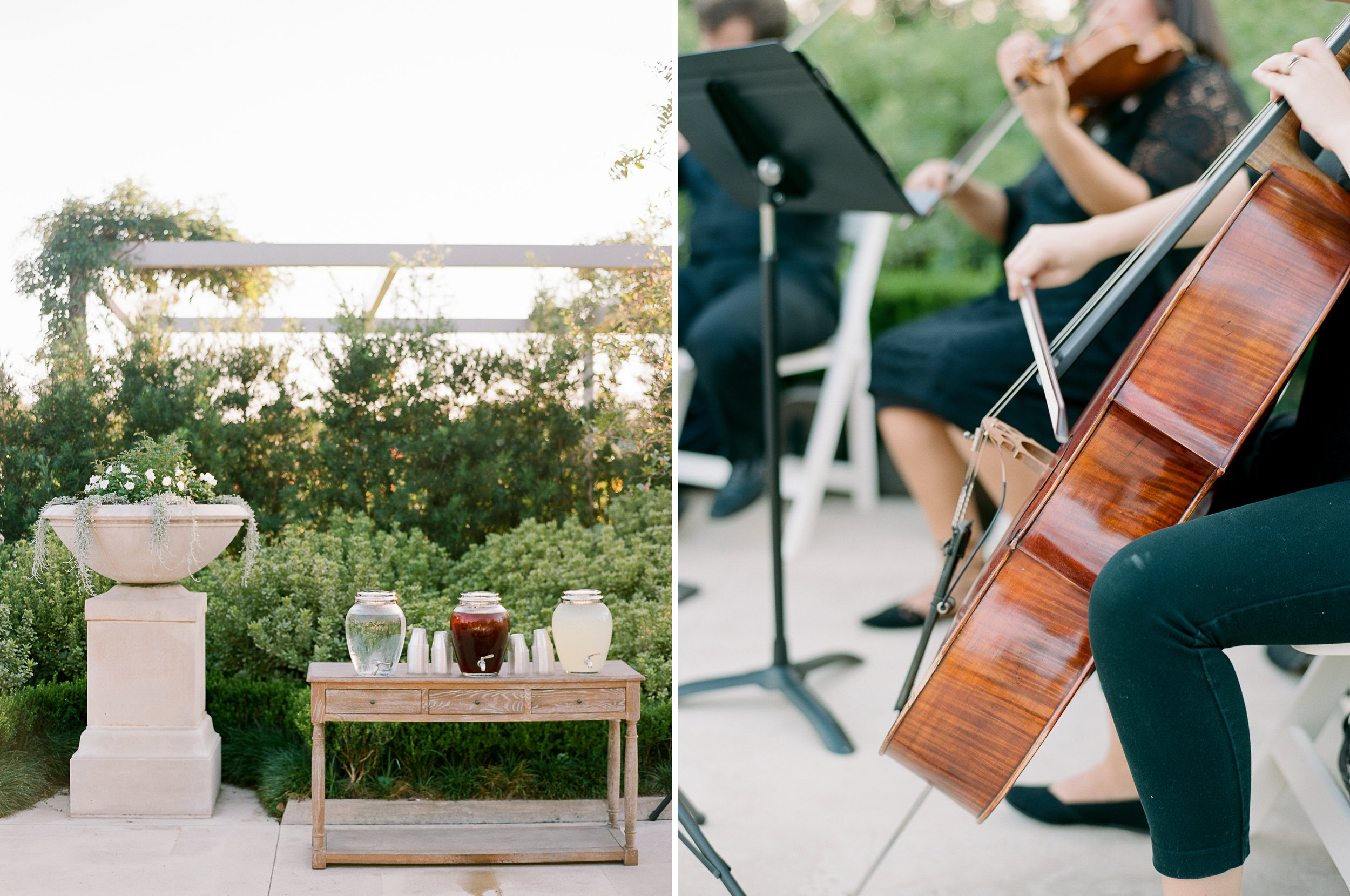 Martha-Stewart-Wedding-Dana-Fernandez-Photography-Josh-Texas-Film-Houston-Wedding-Fine-Art-Photographer-McGovern-Centennial-Gardens-Top-Best-206.jpg