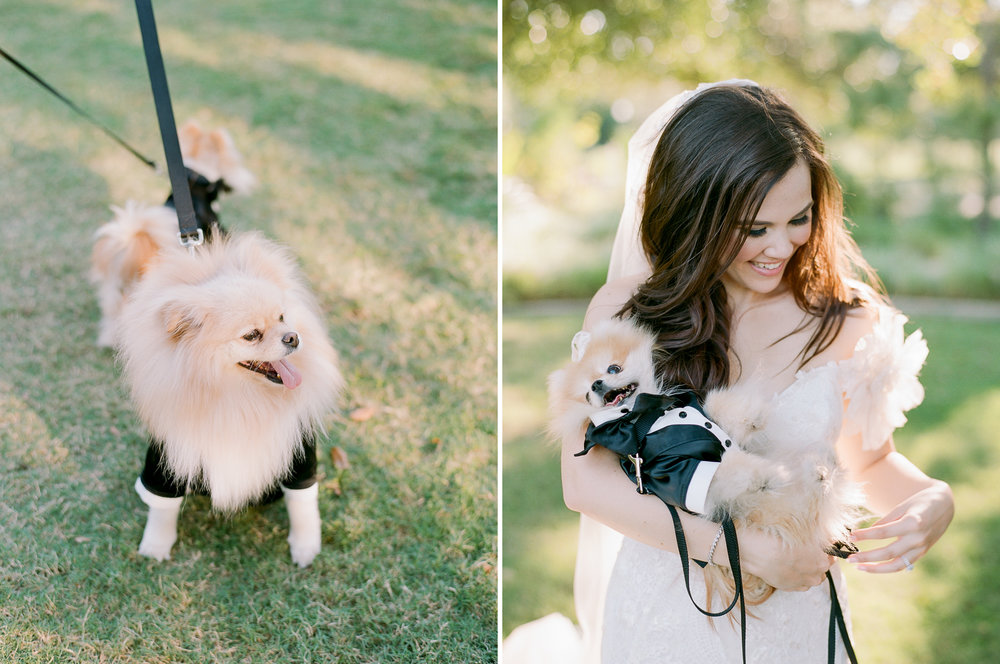 Martha-Stewart-Wedding-Dana-Fernandez-Photography-Josh-Texas-Film-Houston-Wedding-Fine-Art-Photographer-McGovern-Centennial-Gardens-Top-Best-308.jpg