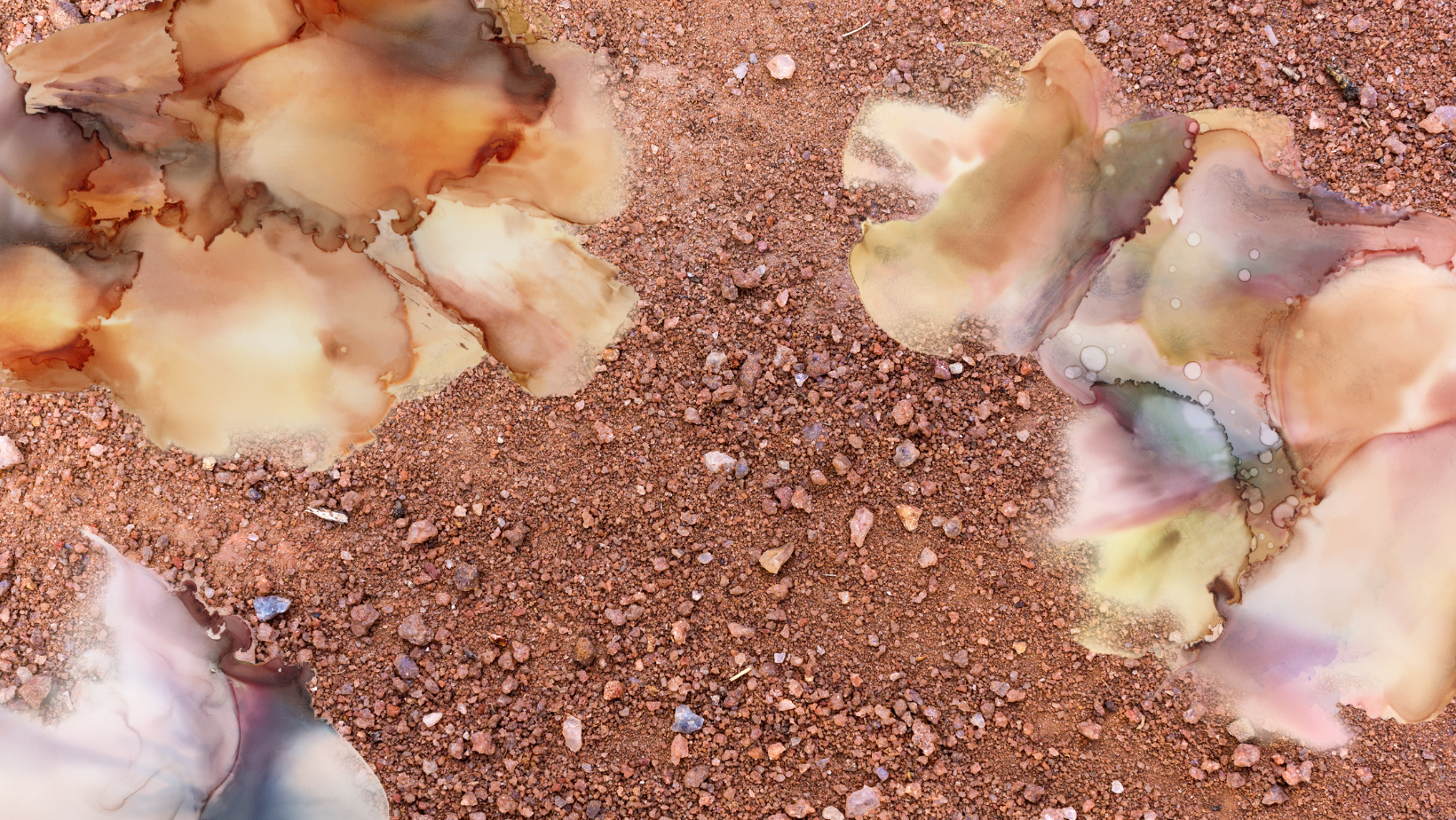 Untitled (Facebook Cover).png