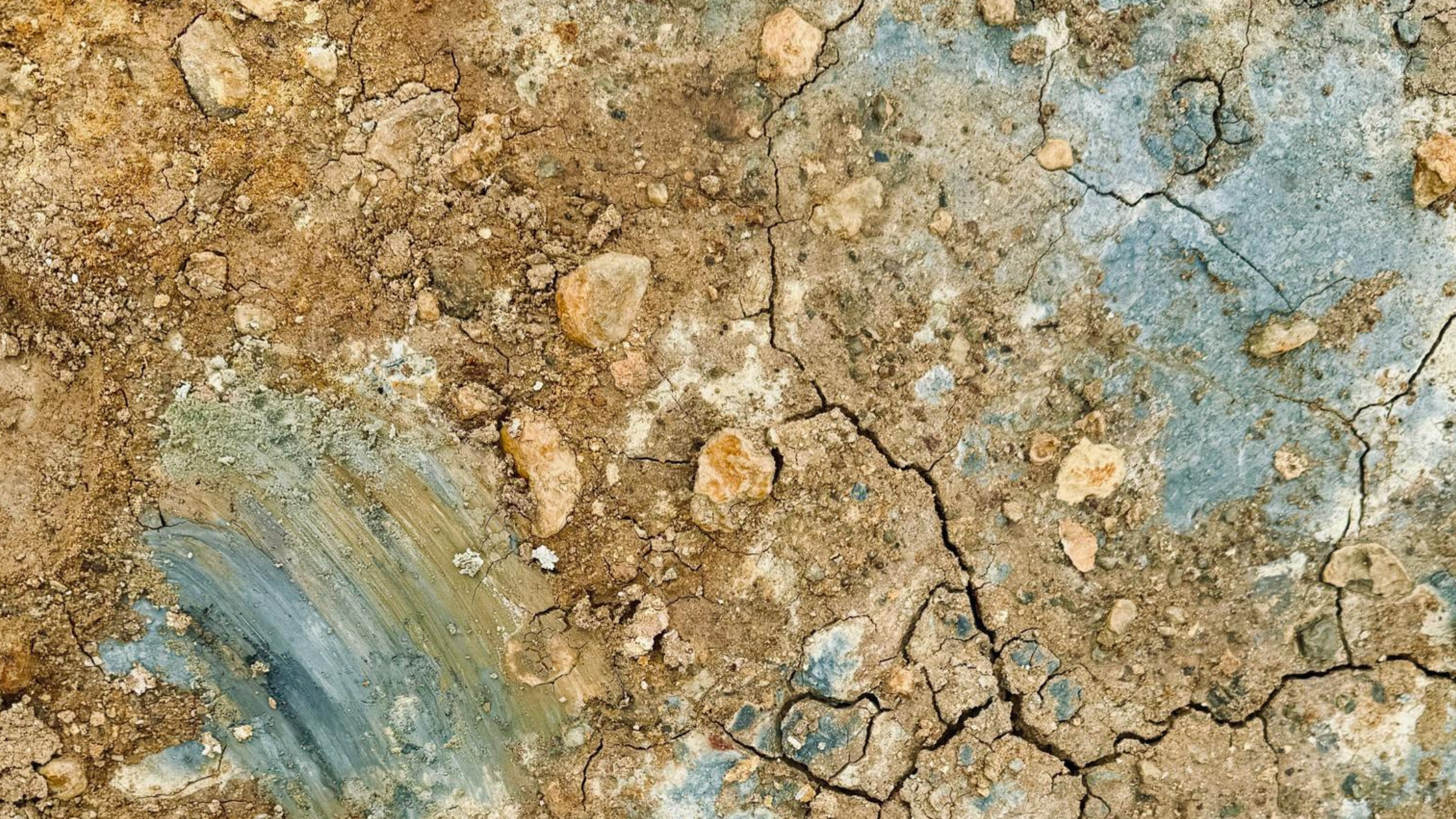 Untitled (Blog Banner)-3.png