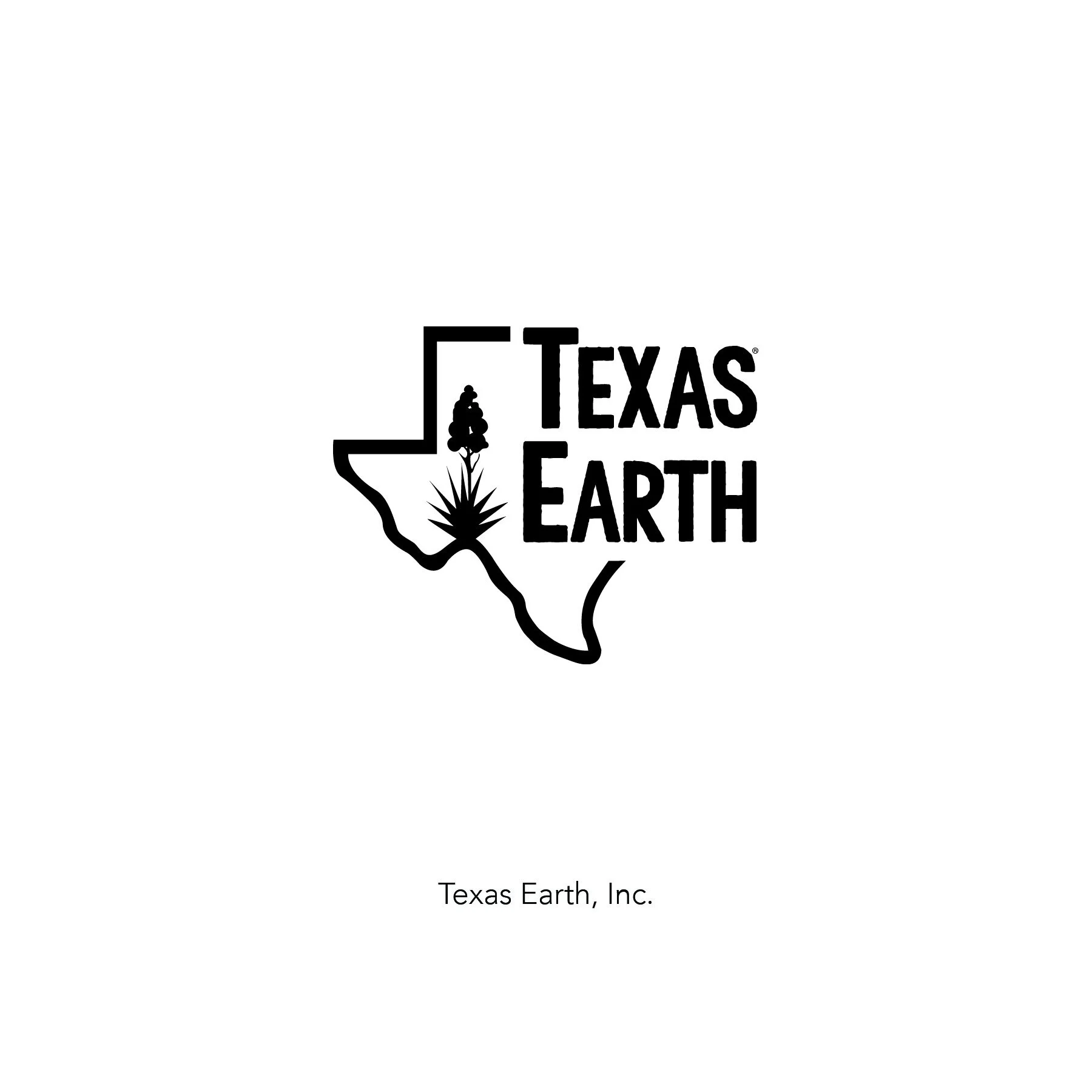 TexasEarth logo.jpg