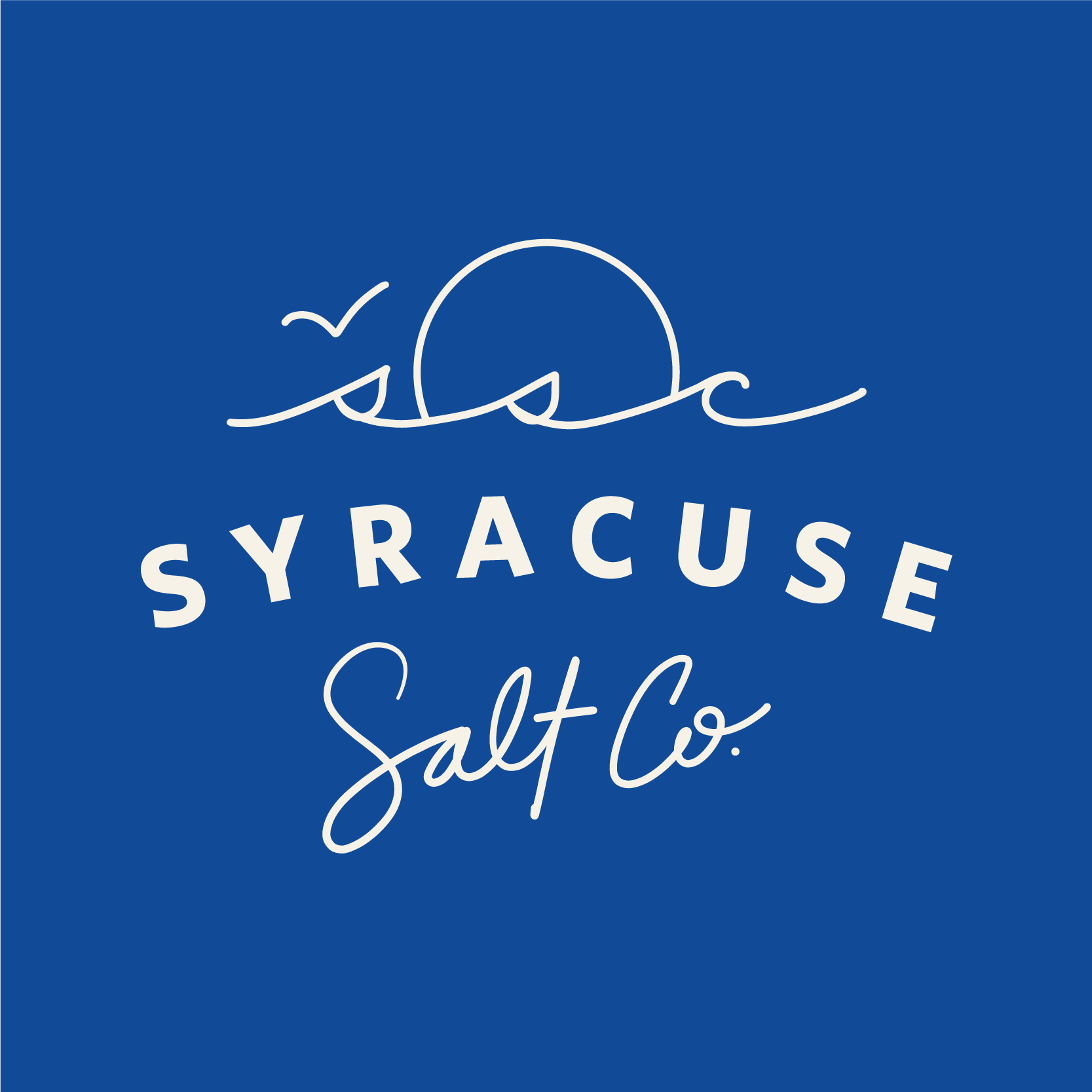 Syracuse Salt Company