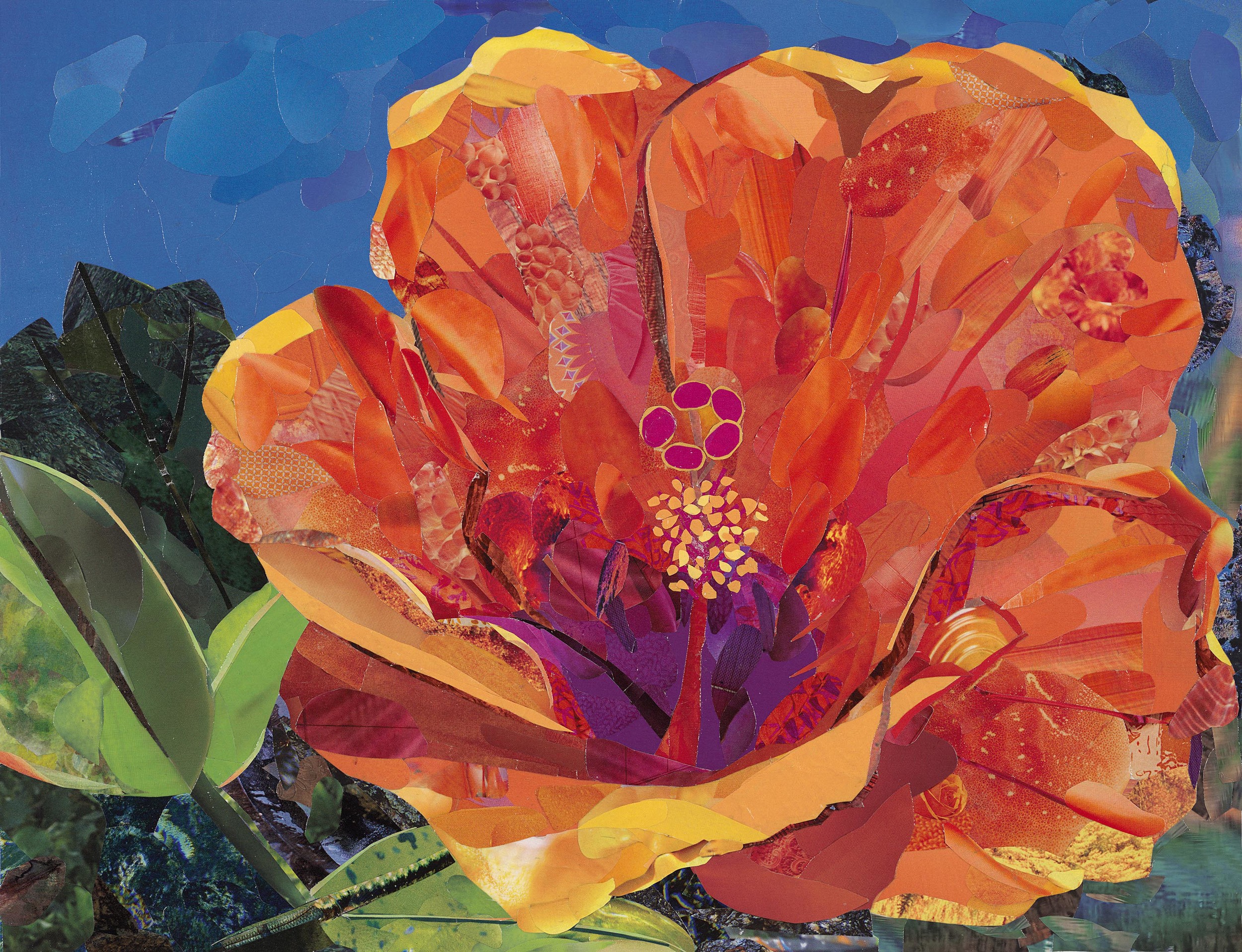 Sunrise in Bloom