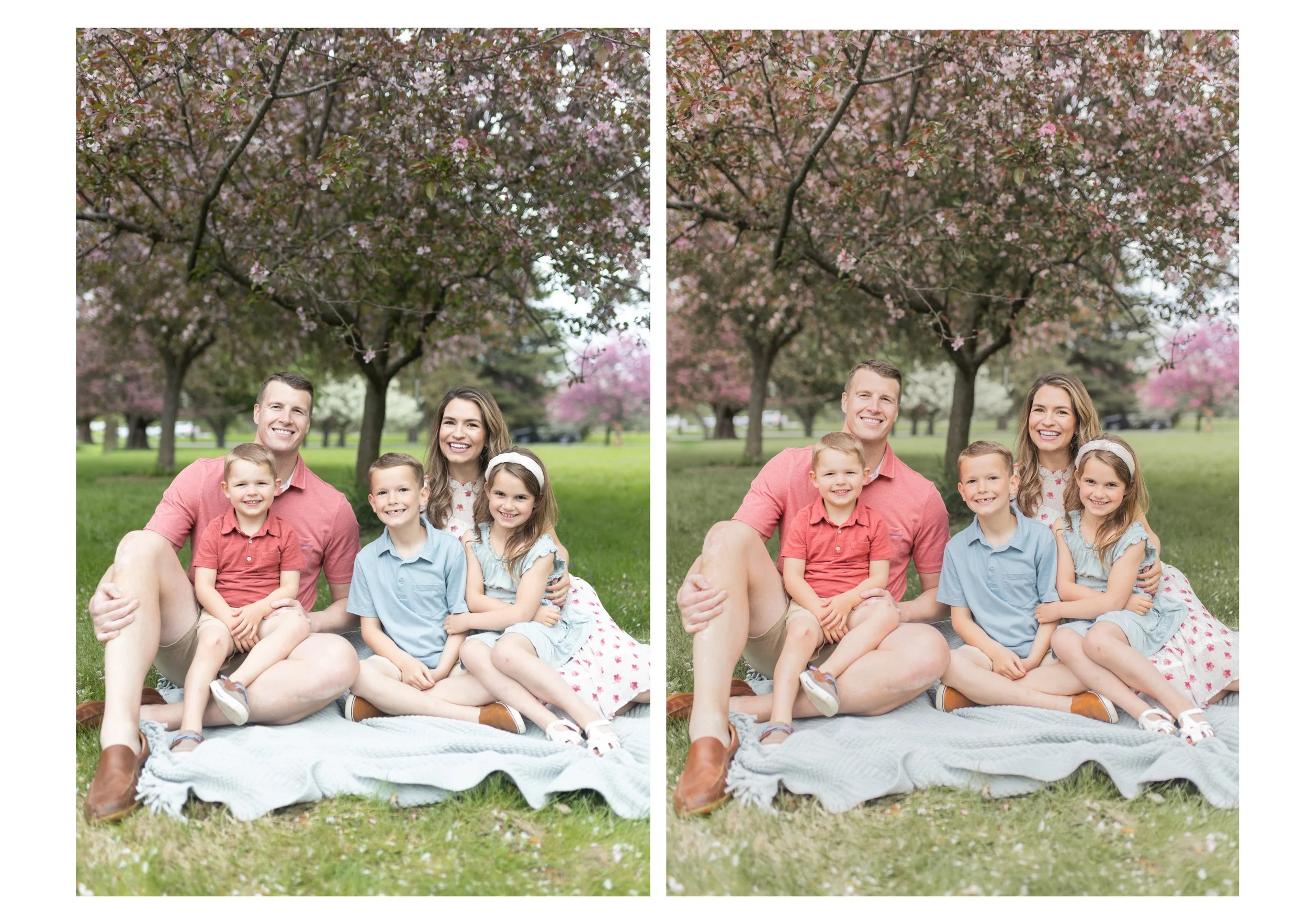 Spring Preset.jpg