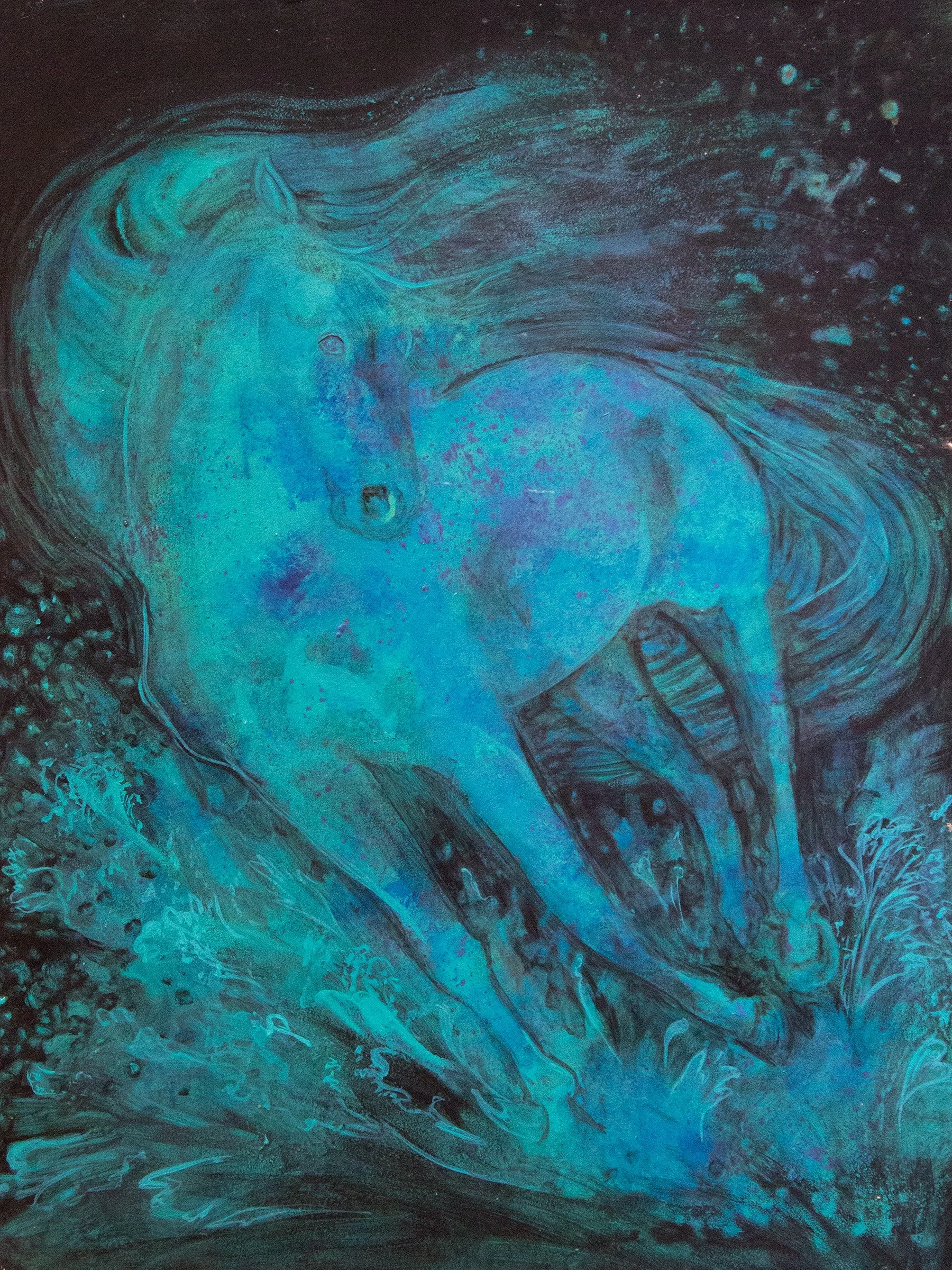 "Waterhorse"