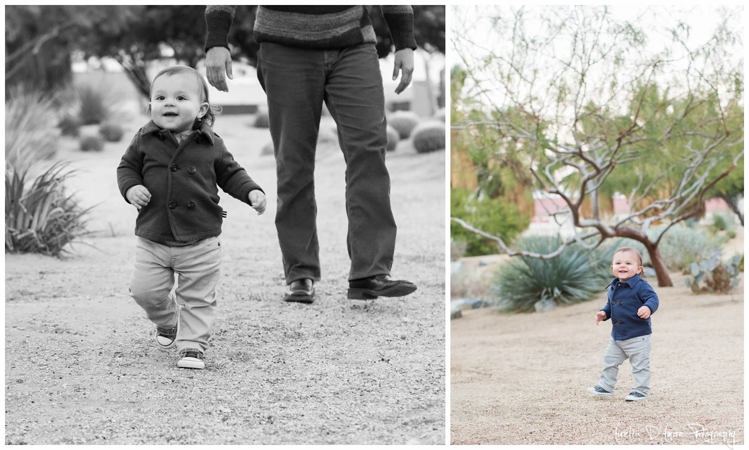  Slocum Family Portrait's in Rancho Mirage photographed by Aurelia D'Amore Photography 
