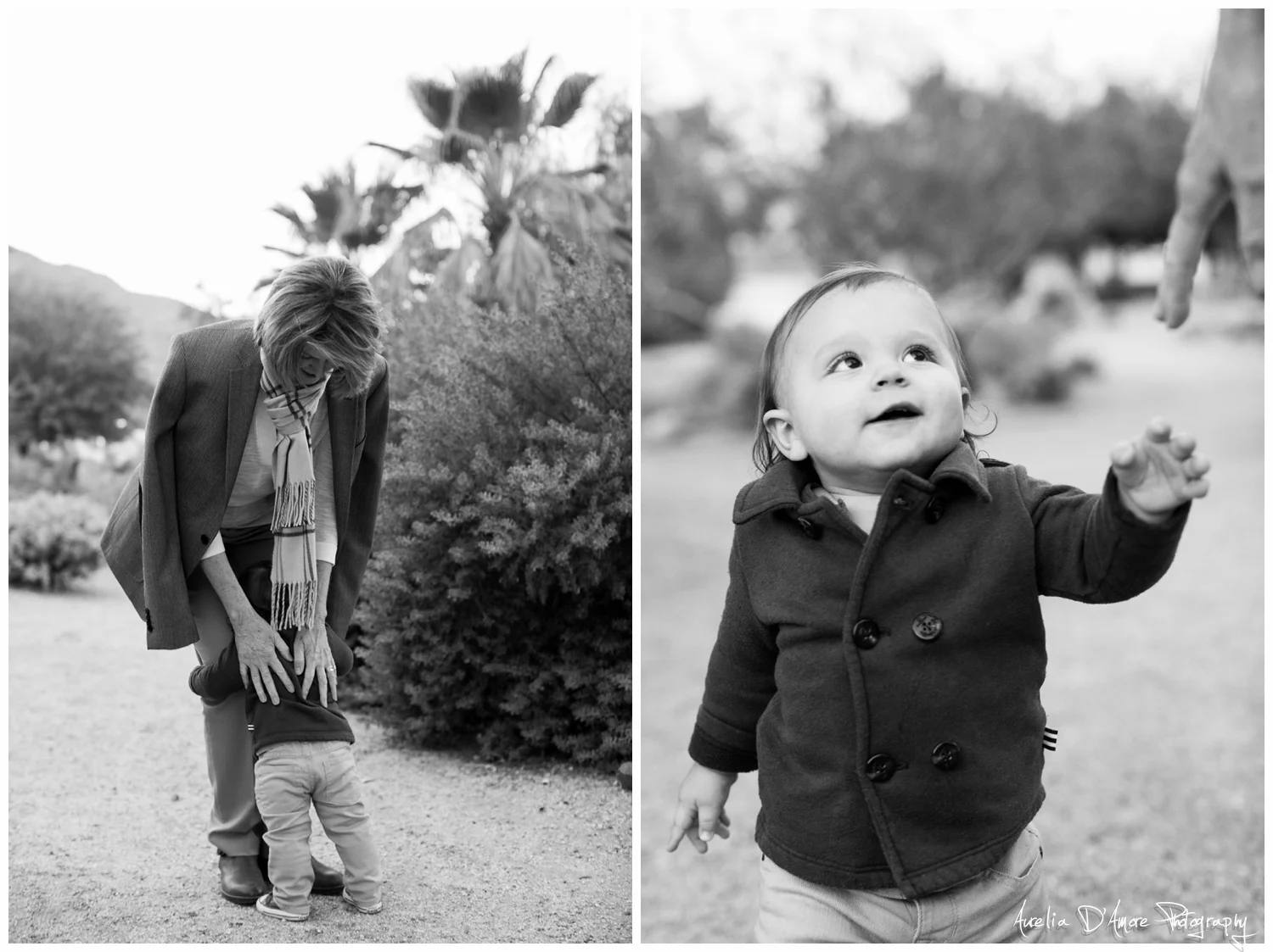  Slocum Family Portrait's in Rancho Mirage photographed by Aurelia D'Amore Photography 