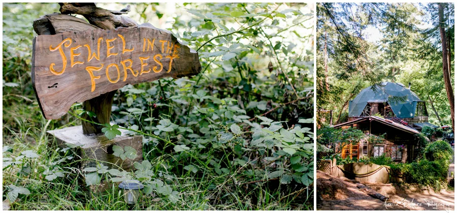 Tory & Daniel's Big Sur Wedding photographed by Aurelia D'Amore