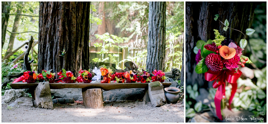 Tory & Daniel's Big Sur Wedding photographed by Aurelia D'Amore