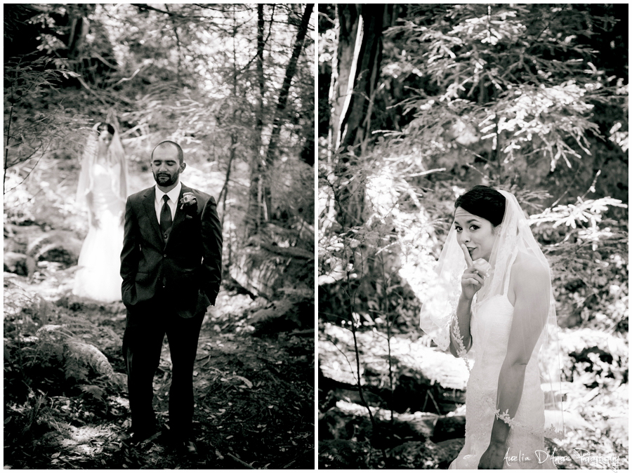 Tory & Daniel's Big Sur Wedding photographed by Aurelia D'Amore
