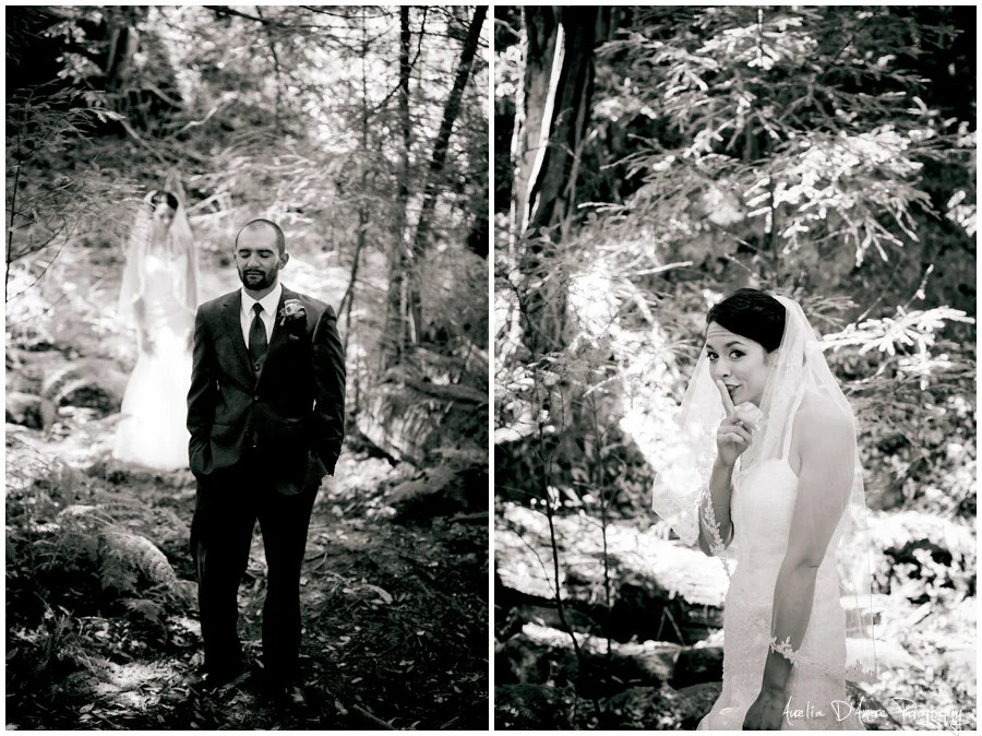 Tory & Daniel's Big Sur Wedding photographed by Aurelia D'Amore