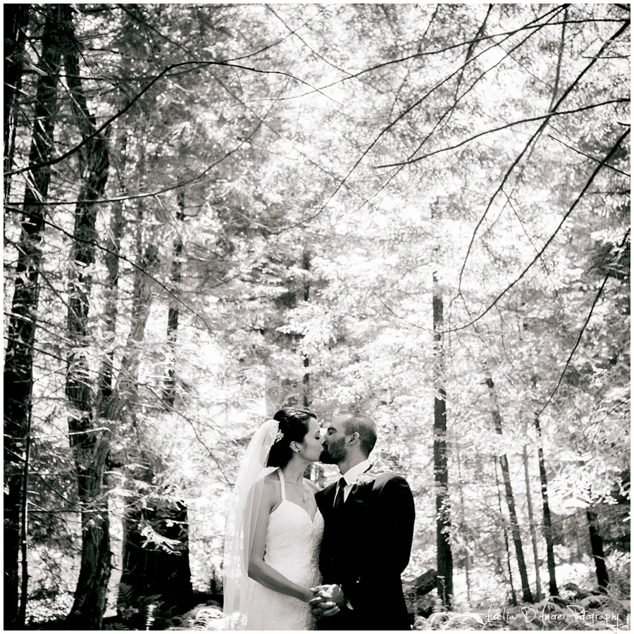 Tory & Daniel's Big Sur Wedding photographed by Aurelia D'Amore