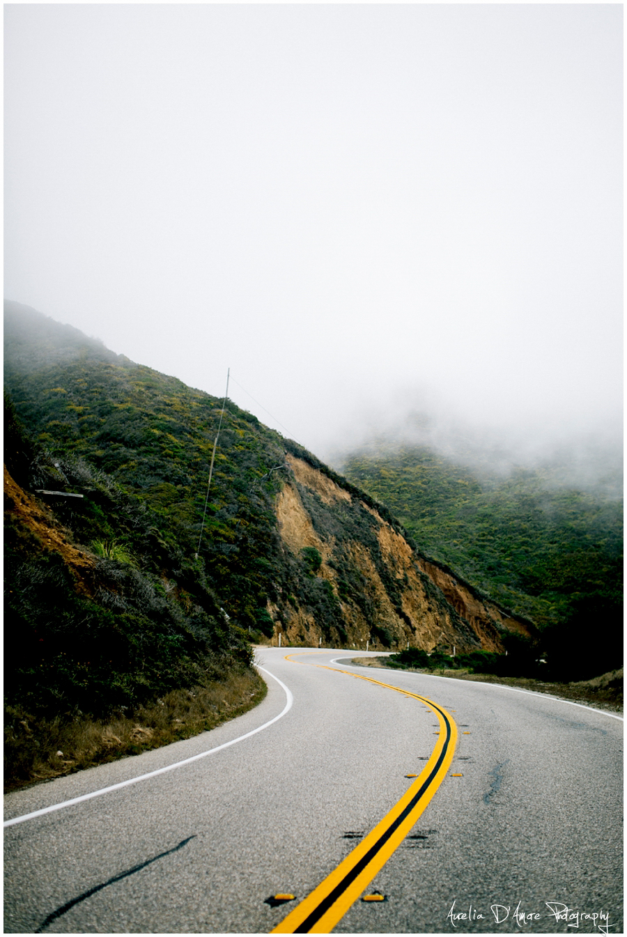 Tory & Daniel's Big Sur Wedding photographed by Aurelia D'Amore