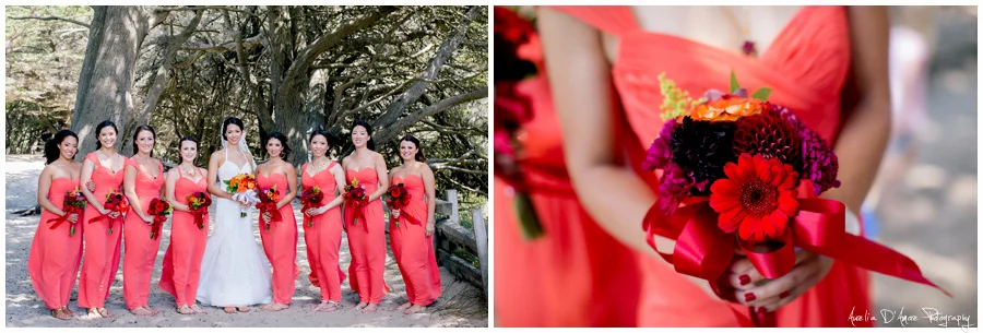 Tory & Daniel's Big Sur Wedding photographed by Aurelia D'Amore
