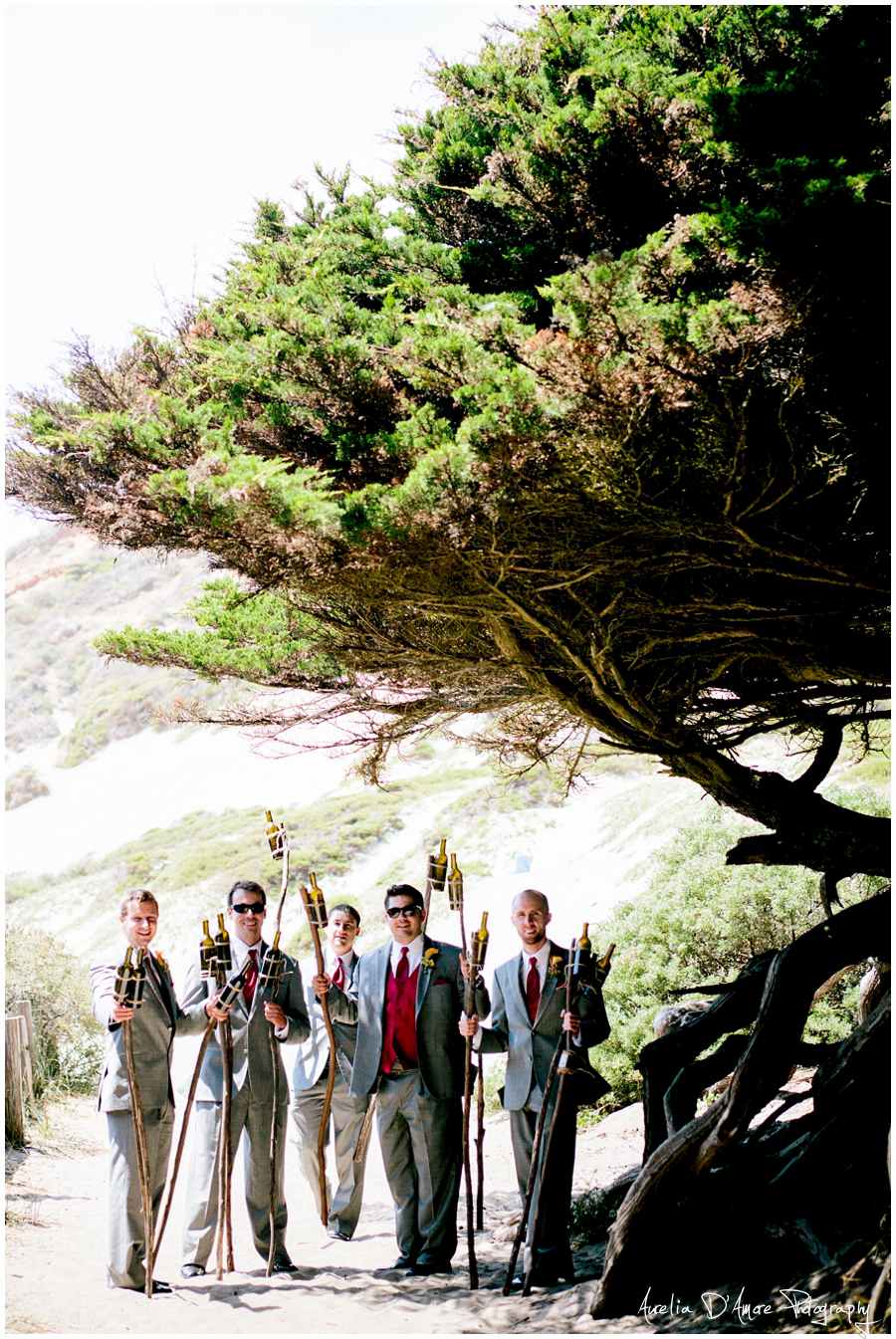 Tory & Daniel's Big Sur Wedding photographed by Aurelia D'Amore