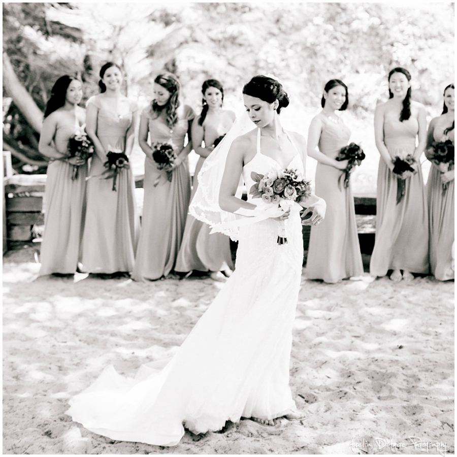 Tory & Daniel's Big Sur Wedding photographed by Aurelia D'Amore