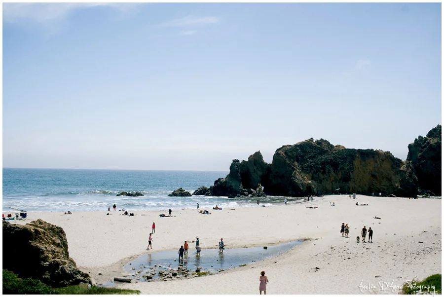 Tory & Daniel's Big Sur Wedding photographed by Aurelia D'Amore