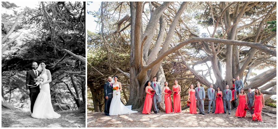 Tory & Daniel's Big Sur Wedding photographed by Aurelia D'Amore