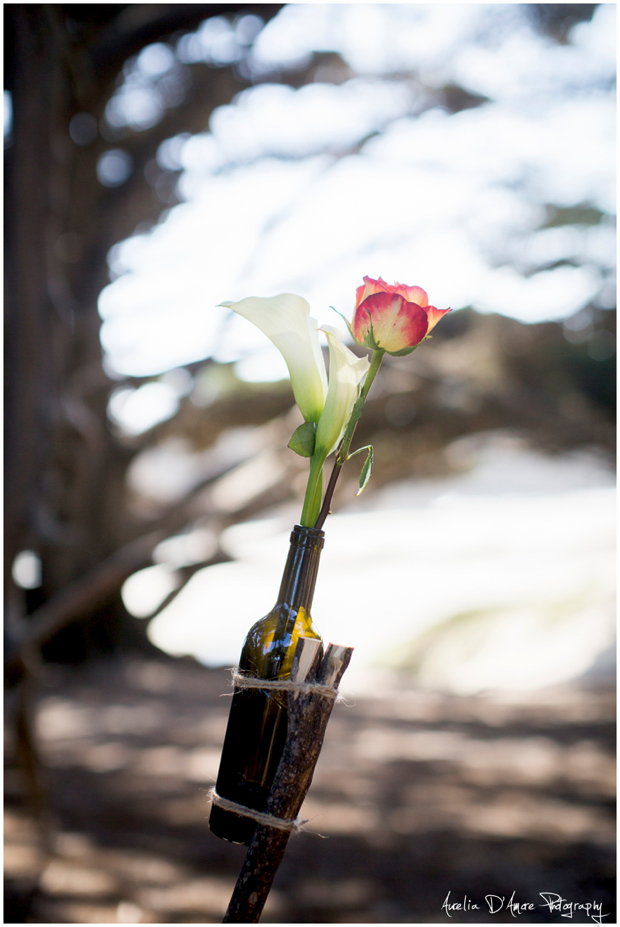 Tory & Daniel's Big Sur Wedding photographed by Aurelia D'Amore