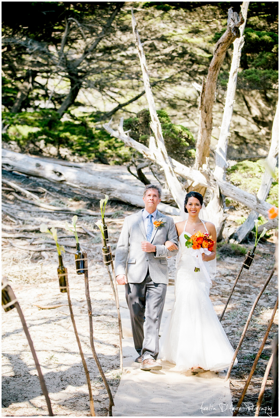 Tory & Daniel's Big Sur Wedding photographed by Aurelia D'Amore