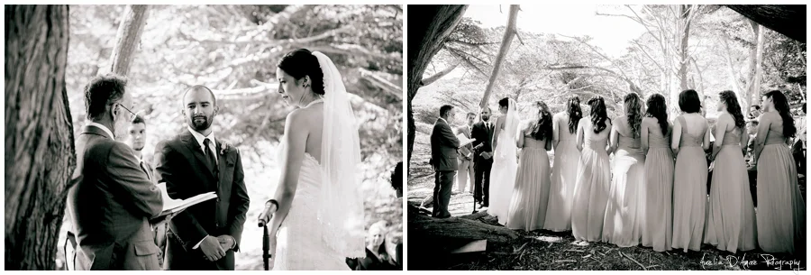 Tory & Daniel's Big Sur Wedding photographed by Aurelia D'Amore