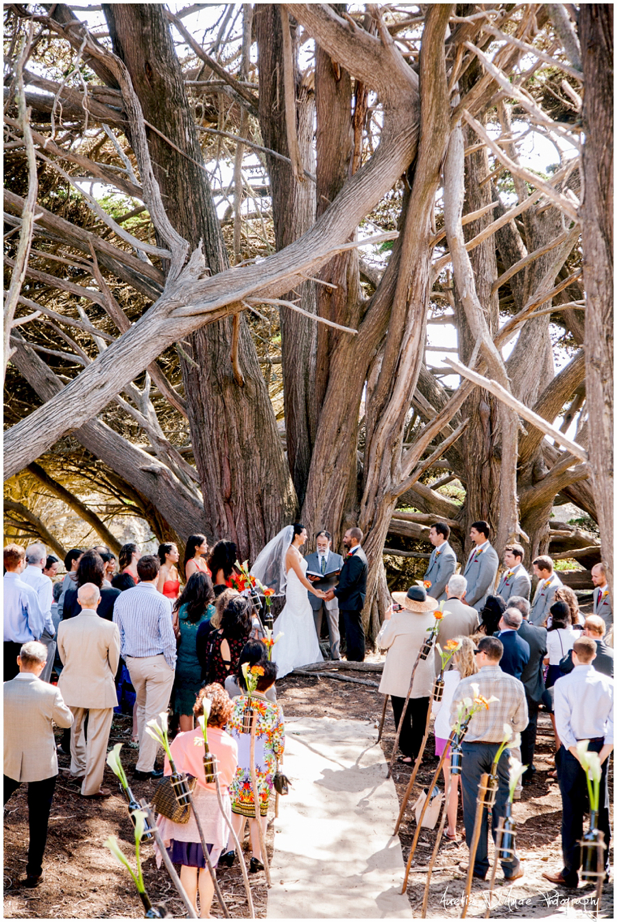 Tory & Daniel's Big Sur Wedding photographed by Aurelia D'Amore
