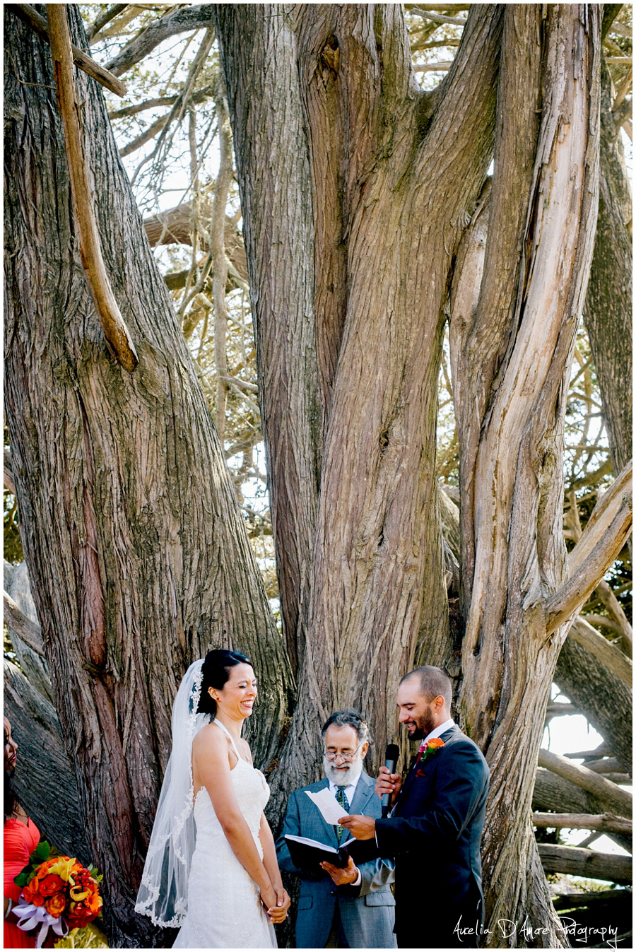 Tory & Daniel's Big Sur Wedding photographed by Aurelia D'Amore