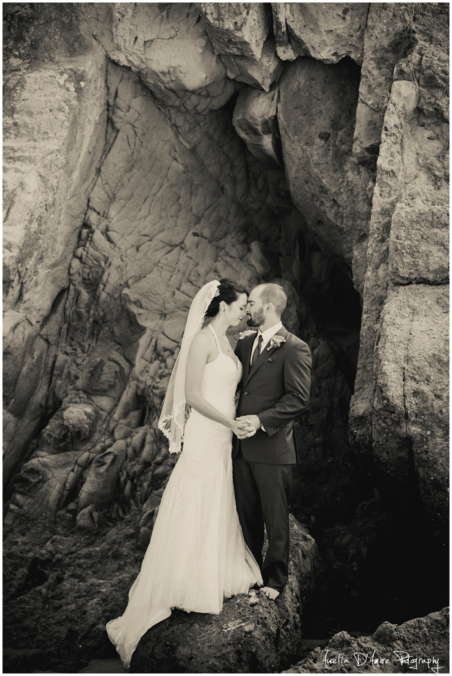 Tory & Daniel's Big Sur Wedding photographed by Aurelia D'Amore