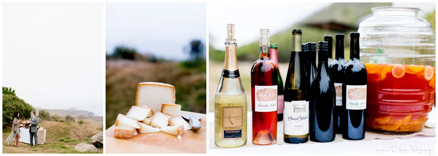 Tory & Daniel's Big Sur Wedding photographed by Aurelia D'Amore
