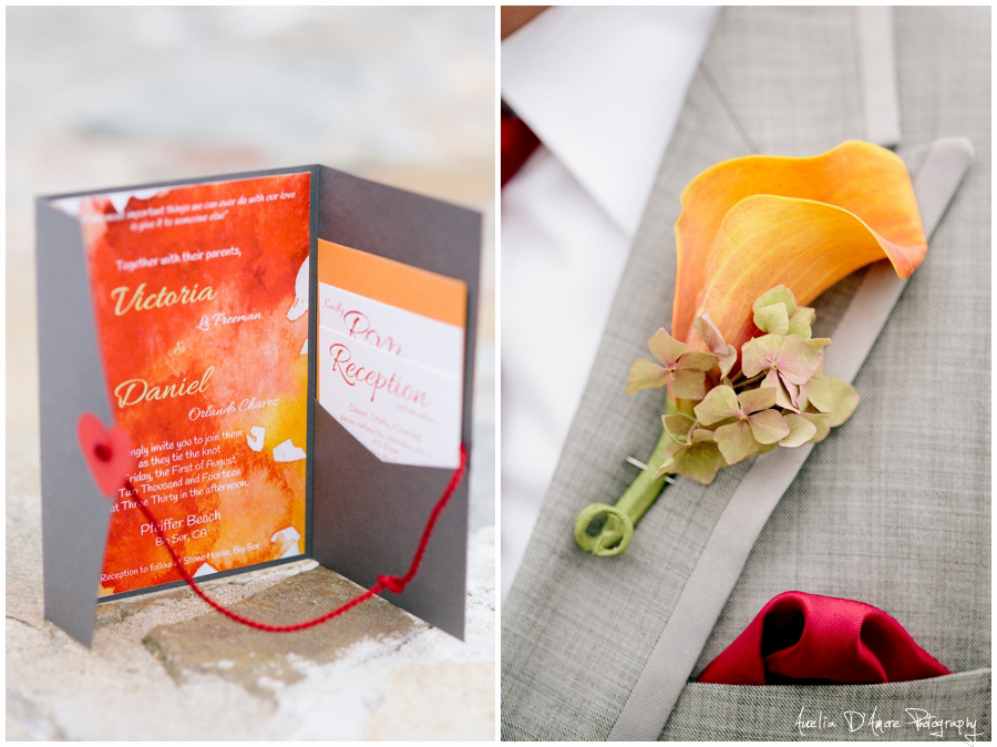 Tory & Daniel's Big Sur Wedding photographed by Aurelia D'Amore