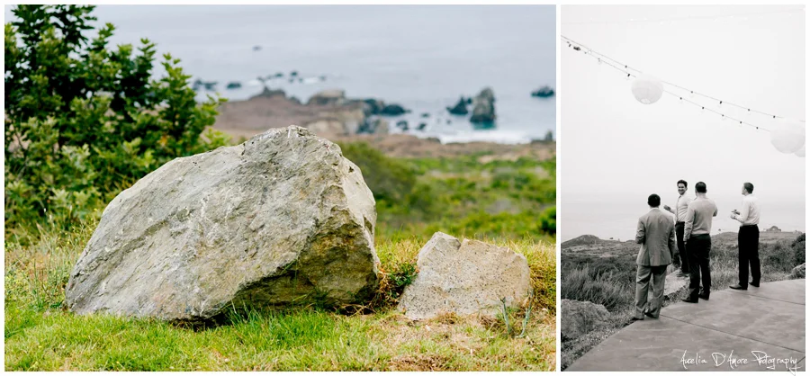 Tory & Daniel's Big Sur Wedding photographed by Aurelia D'Amore