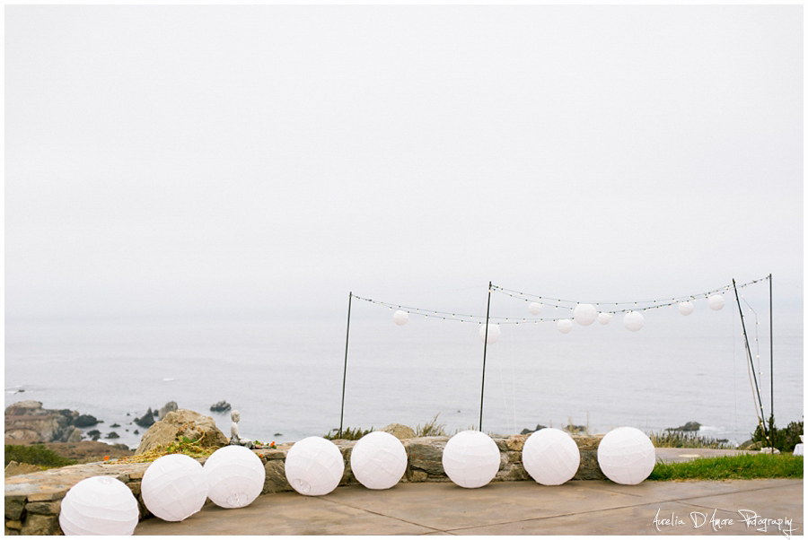 Tory & Daniel's Big Sur Wedding photographed by Aurelia D'Amore