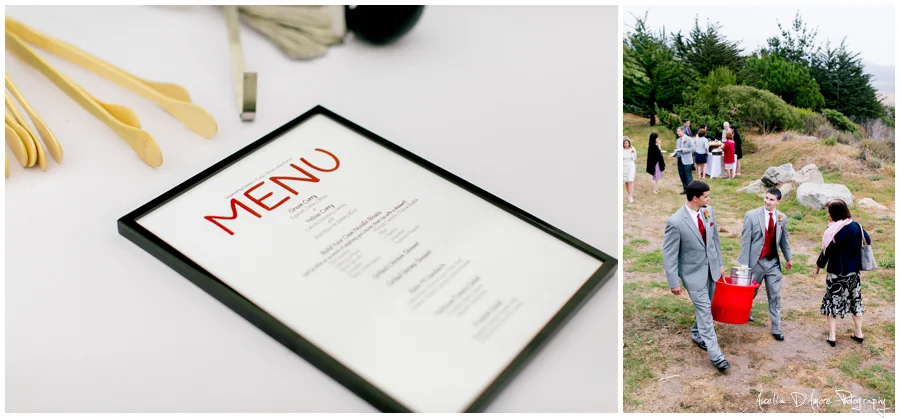 Tory & Daniel's Big Sur Wedding photographed by Aurelia D'Amore