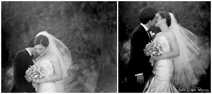 Yasaman & Sam's Newport Beach Wedding photographed by Aurelia D'