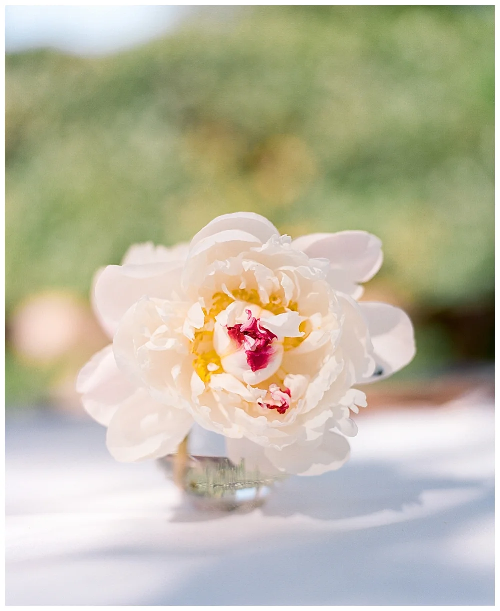 Bridal Shower by Blooms by Drea photographed by Aurelia D'Amore Photography