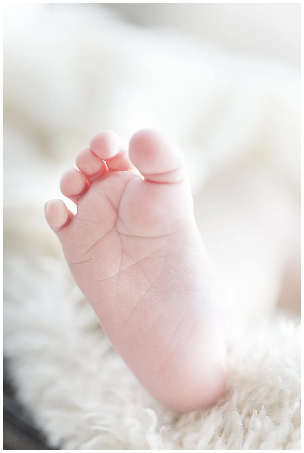 Monelie just a few days old