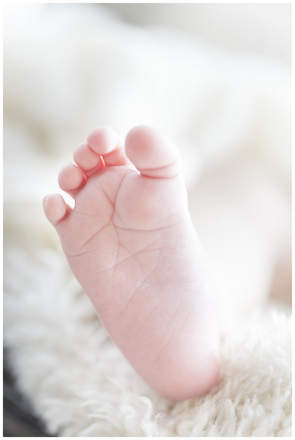 Monelie just a few days old