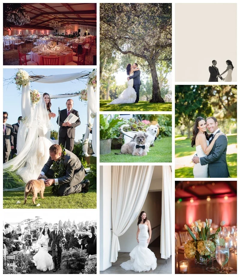 2015_recap_DAmore_035.jpg