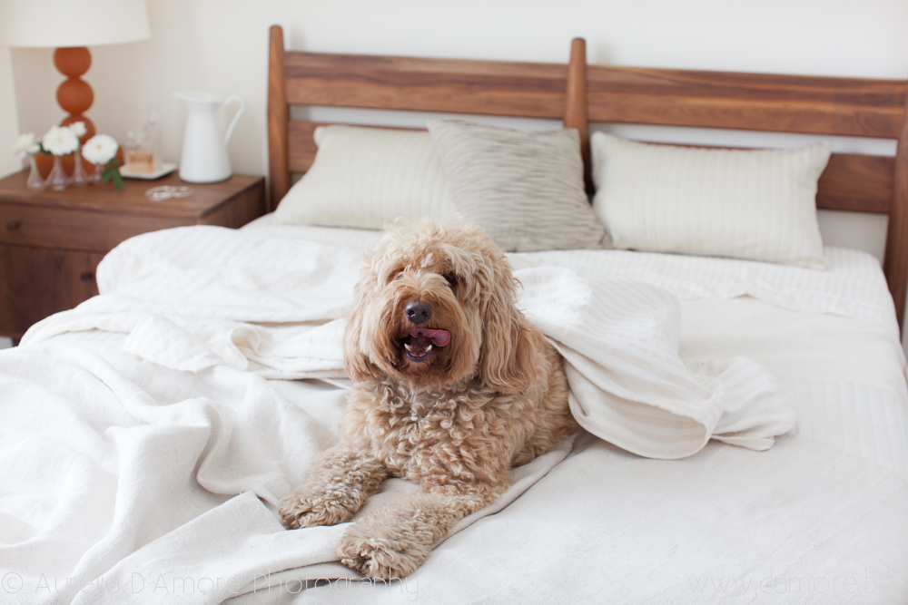 DAMORE_Tempurpedic_059.jpg