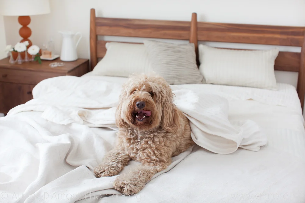 DAMORE_Tempurpedic_059.jpg