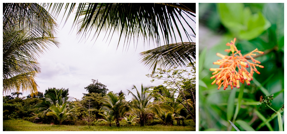Kristen and Chris's Destination Wedding at Popa Paradise in Isla Popa, Panama