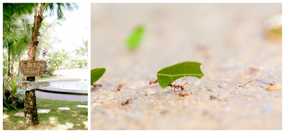 Kristen and Chris's Destination Wedding at Popa Paradise in Isla Popa, Panama