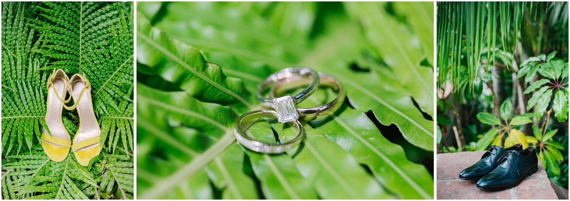 Aurelia D'Amore Photography_NM007.JPG