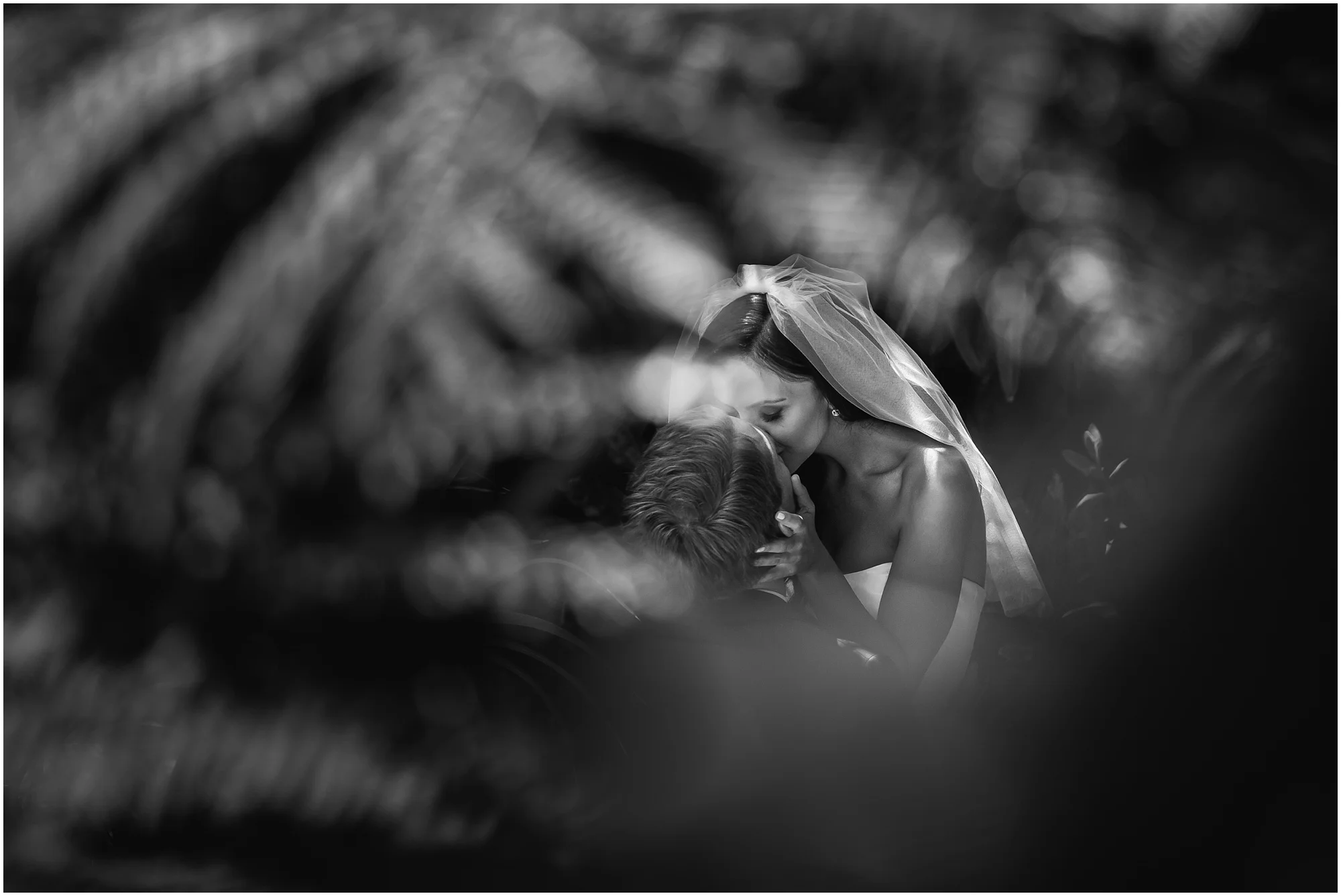 Aurelia D'Amore Photography_NM046.JPG